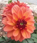 2013-06-09 12.00.53 edited