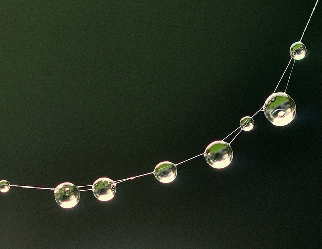 Why blog? Why&nbsp;tweet?