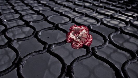 The Perfect World We Do Not&nbsp;Have