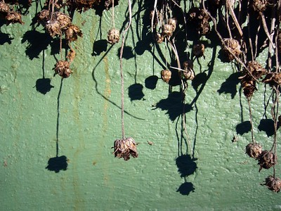 Releasing Ourselves from Shame